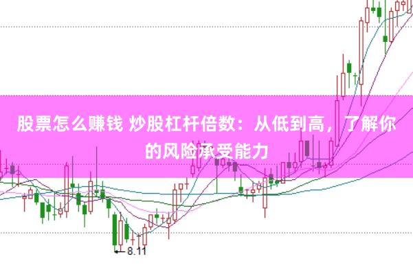 股票怎么赚钱 炒股杠杆倍数：从低到高，了解你的风险承受能力