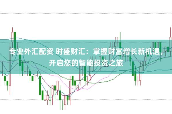 专业外汇配资 时盛财汇：掌握财富增长新机遇，开启您的智能投资之旅