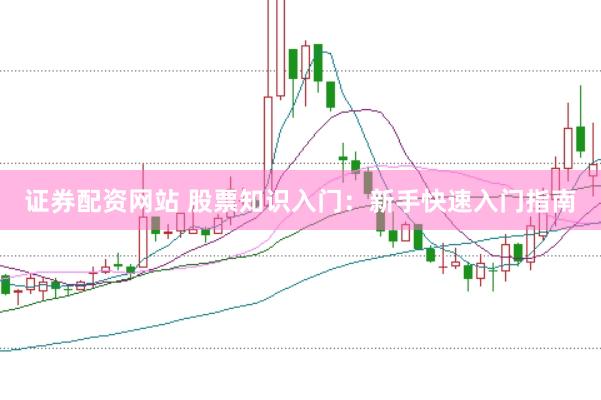 证券配资网站 股票知识入门：新手快速入门指南