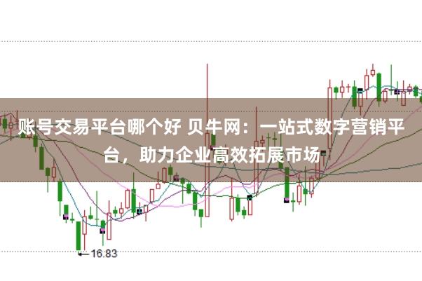 账号交易平台哪个好 贝牛网：一站式数字营销平台，助力企业高效拓展市场