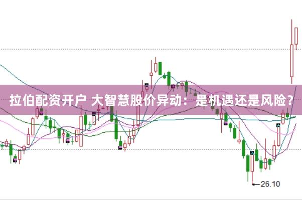 拉伯配资开户 大智慧股价异动：是机遇还是风险？