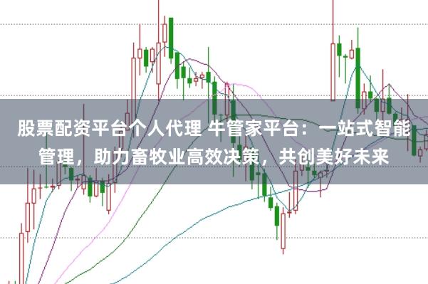 股票配资平台个人代理 牛管家平台：一站式智能管理，助力畜牧业高效决策，共创美好未来