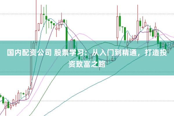 国内配资公司 股票学习：从入门到精通，打造投资致富之路