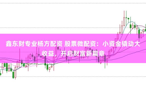 鑫东财专业杨方配资 股票微配资：小资金撬动大收益，开启财富新篇章