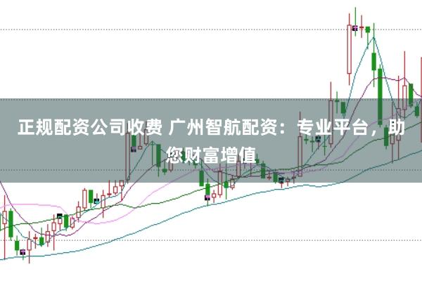 正规配资公司收费 广州智航配资：专业平台，助您财富增值