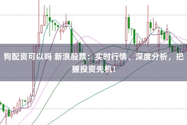 狗配资可以吗 新浪股票：实时行情、深度分析，把握投资先机！