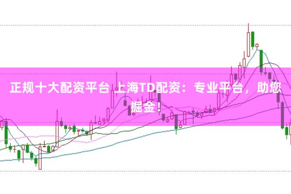 正规十大配资平台 上海TD配资：专业平台，助您掘金！