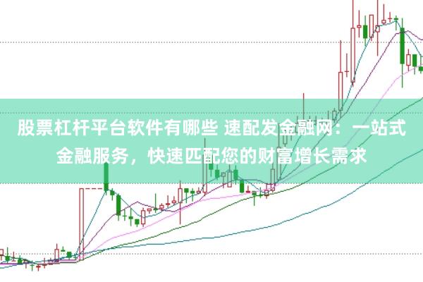 股票杠杆平台软件有哪些 速配发金融网：一站式金融服务，快速匹配您的财富增长需求