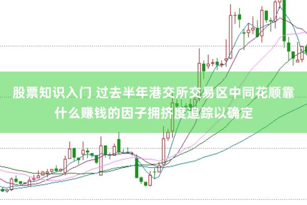 股票知识入门 过去半年港交所交易区中同花顺靠什么赚钱的因子拥挤度追踪以确定