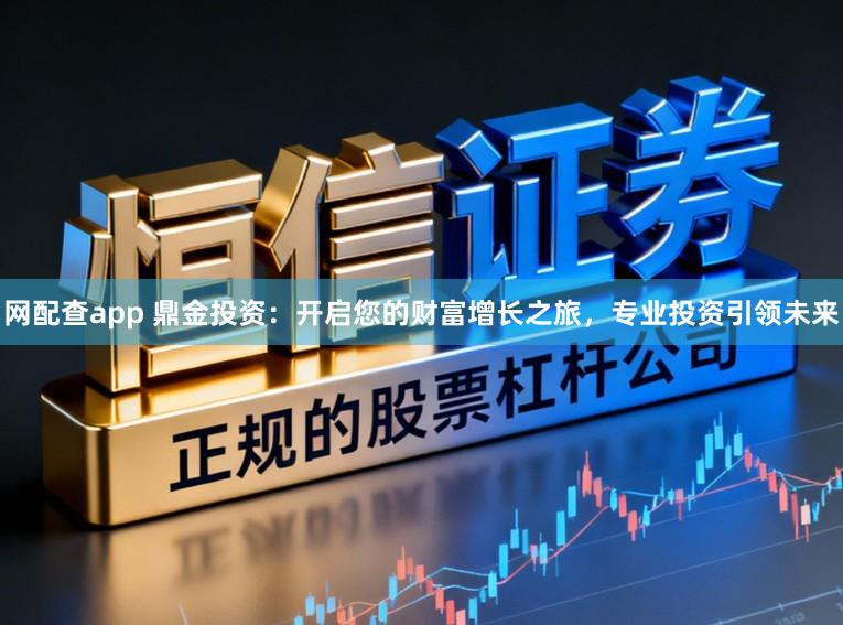 网配查app 鼎金投资:开启您的财富增长之旅,专业投资引领未来