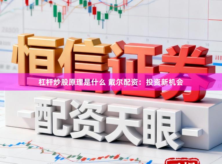 杠杆炒股原理是什么 戴尔配资：投资新机会