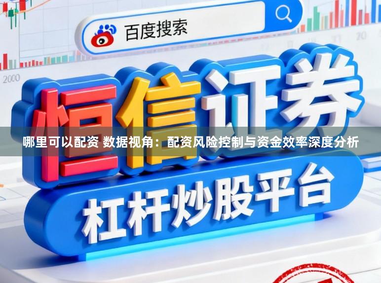 哪里可以配资 数据视角：配资风险控制与资金效率深度分析